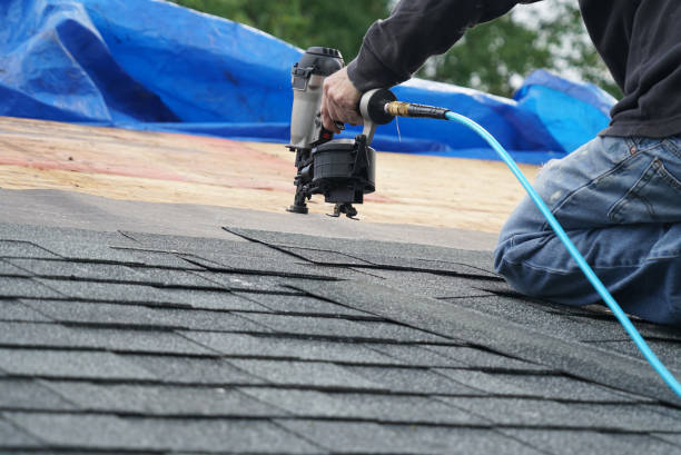 Best Roof Ventilation Installation  in Clayton, MO